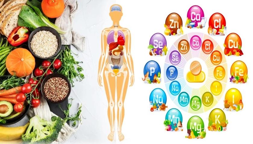گرنگترین کانزاکان و سوودەکانیان بۆ جەستە