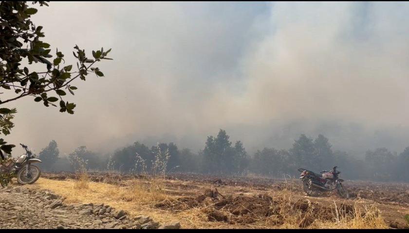 پس از چهار روز تلاش؛ آتش‌سوزی جنگل‌های مریوان مهار شد