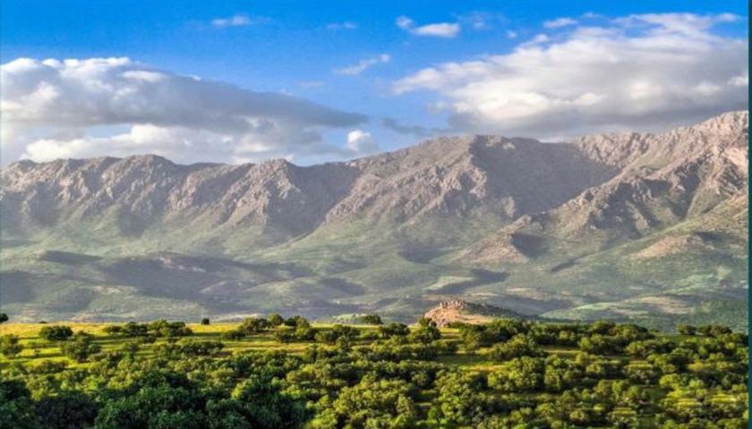 معرفی برگزیدگان رقابت ماهانه «شهر عکاسی» در جوانرود