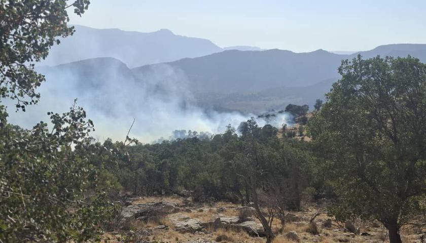 تشکیل پرونده قضایی برای عاملان آتش‌سوزی جنگل‌های مریوان