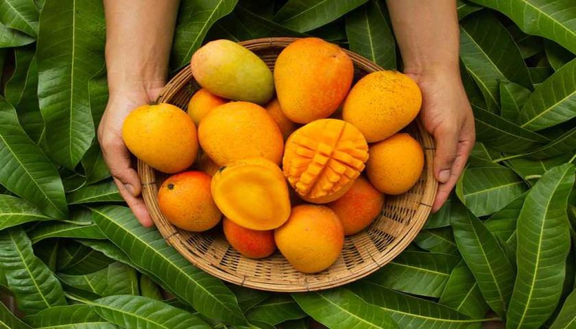 ئەم میوە زەردە هۆکاری تەندرووستی پاکە بۆ جەستەت!