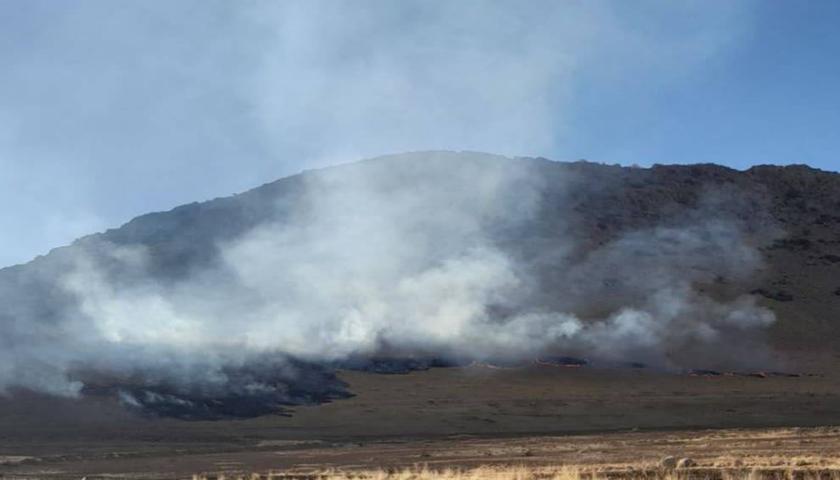 عامل آتش‌سوزی در پناهگاه حیات وحش بیستون شناسایی شد