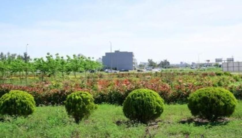 سلیمانیە از استاندارد سرسبزی فراتر رفت