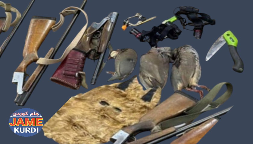 ئاسایشی سەنگەسەر: سێ راوچی دەستگیرکراو دەست بە سەر چەکەکانیاندا گیرا