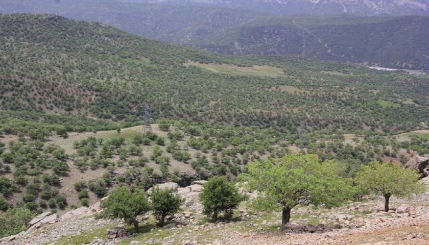 اجازه تاراج عرصه‌های ملی فیروزآباد را نمی‌دهیم