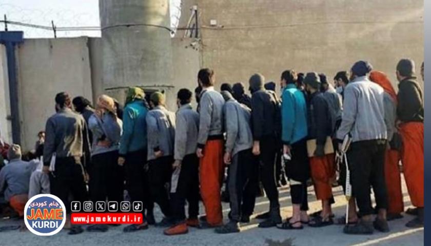 ڕاگەیاندنی ئەمنی عێراق: ١٥٧ منداڵ لە ناو زیندانییە گواستراوەکانی داعشدان