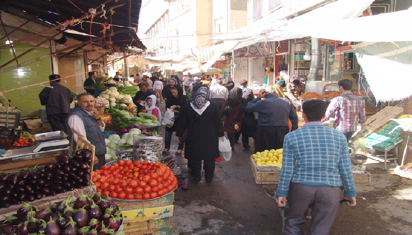 توزیع ۱۰۰ تن سیب‌زمینی با قیمت مصوب ۴۸ هزار تومان در بازار کردستان