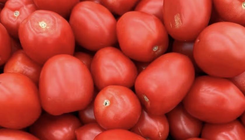 وەزارەتی کشتوکاڵ هۆکاری گرانبوونی کتوپڕی تەماتە ئاشکرا دەکات