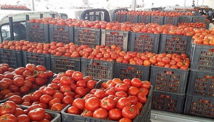 بۆ هەر کیلۆیەک تەماتە 750 دینار باج خراوەتەسەری
