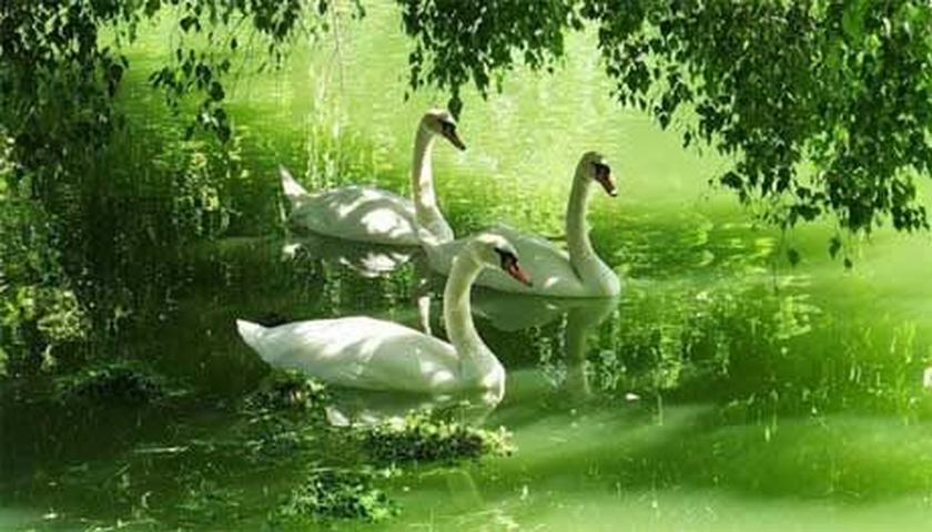با بژین تا زیندووین