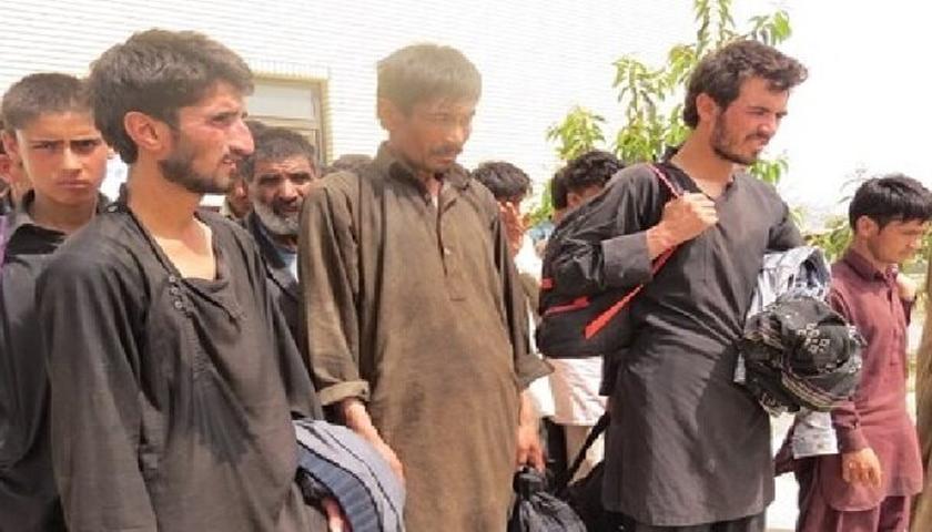 جرائم سنگین درانتظار کارفرمایانی که اتباع بیگانه را به کارگیرند/ طرد 600 تبعه افغانی از کرمانشاه