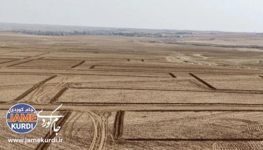 دابەشکردنی زەوی بەسەر فەرمانبەرانی بەردەڕەشدا بەردەوامە