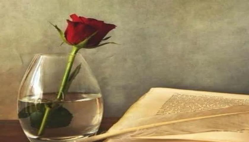 وتەی یەکەم؛ گەڕان بەدوای مانا لە تۆزی خێراییدا / سۆهەیلا کەرەمی