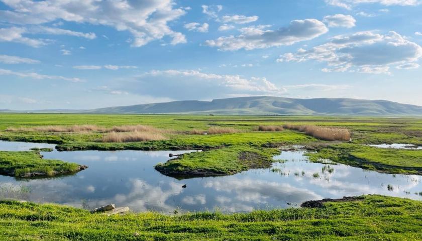 تاڵاوەکانی کرماشان ئەمساڵ مەترسی وشکبوونەوەیان لەسەر نابێت