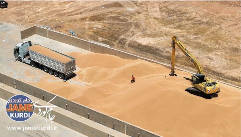 کڕینەوەی ٢١٢ هەزار تۆن گەنمی جووتیارانی هەرێم