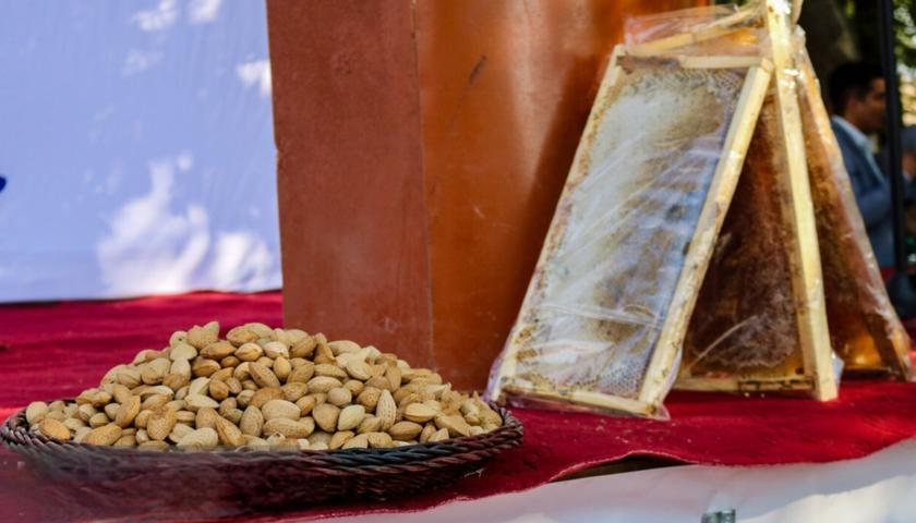 فێستیڤاڵی بێڵەوار تۆماری نیشتمانی دەکرێت؛ دەرفەتێک بۆ گەشەی گەشتیاری و پەرەپێدانی گەشتی یەک ڕۆژە