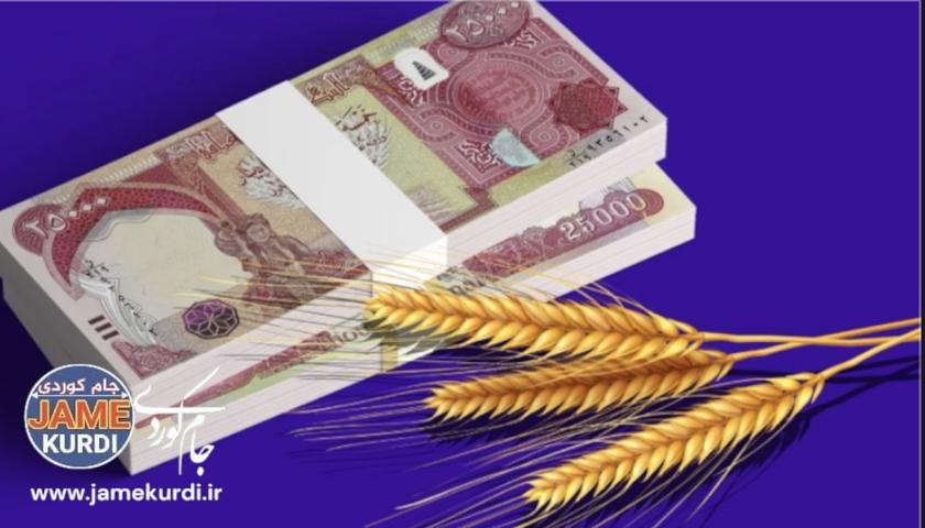 كاتی دابەشكردنی كۆتا بەشی چەكی پارەی گەنمی وەرگیراوی 2025 دیاریكرا
