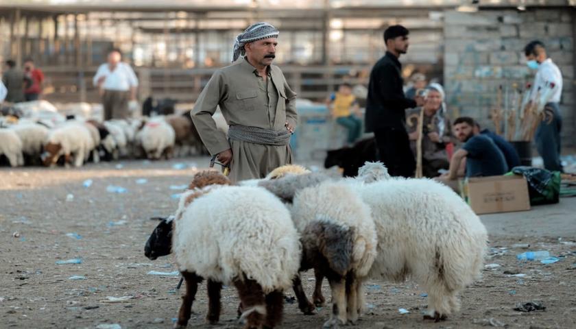 نرخی گۆشتی ئاژەڵی بچووک لە بازاڕەکانی کوردستان دادەبەزێت