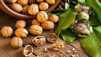 سووده کانی خواردنی گوێز بۆ دڵ