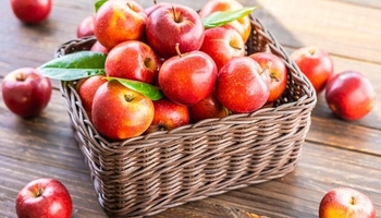 خواردنی سێوێک لە ڕۆژدا چی بەسەر جەستەی مرۆڤ دەهێنێت