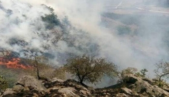 آتش‌سوزی گسترده در مراتع گیلانغرب مهار شد/ خسارت به ۳۵ هکتار از اراضی مشجر