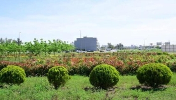 سلیمانیە از استاندارد سرسبزی فراتر رفت