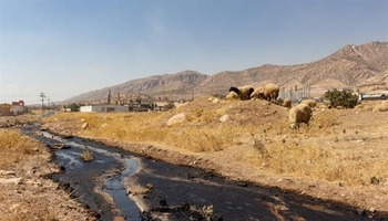 در سلیمانیه ۱۱ پالایشگاه غیرقانونی تعطیل شد