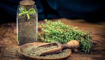 جاترە؛ ڕووەکێک بۆ بەهێزکردنی سیستەمی بەرگری و چارەسەری هەڵامەت