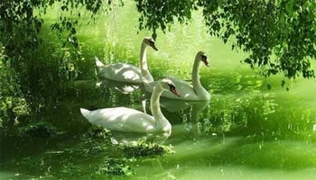 با بژین تا زیندووین