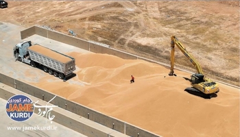 کڕینەوەی ٢١٢ هەزار تۆن گەنمی جووتیارانی هەرێم