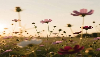 هەڵەکردن، بەشێکە لە مرۆڤبوون /سۆهەیلا کەرەمی