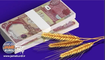 كاتی دابەشكردنی كۆتا بەشی چەكی پارەی گەنمی وەرگیراوی 2025 دیاریكرا